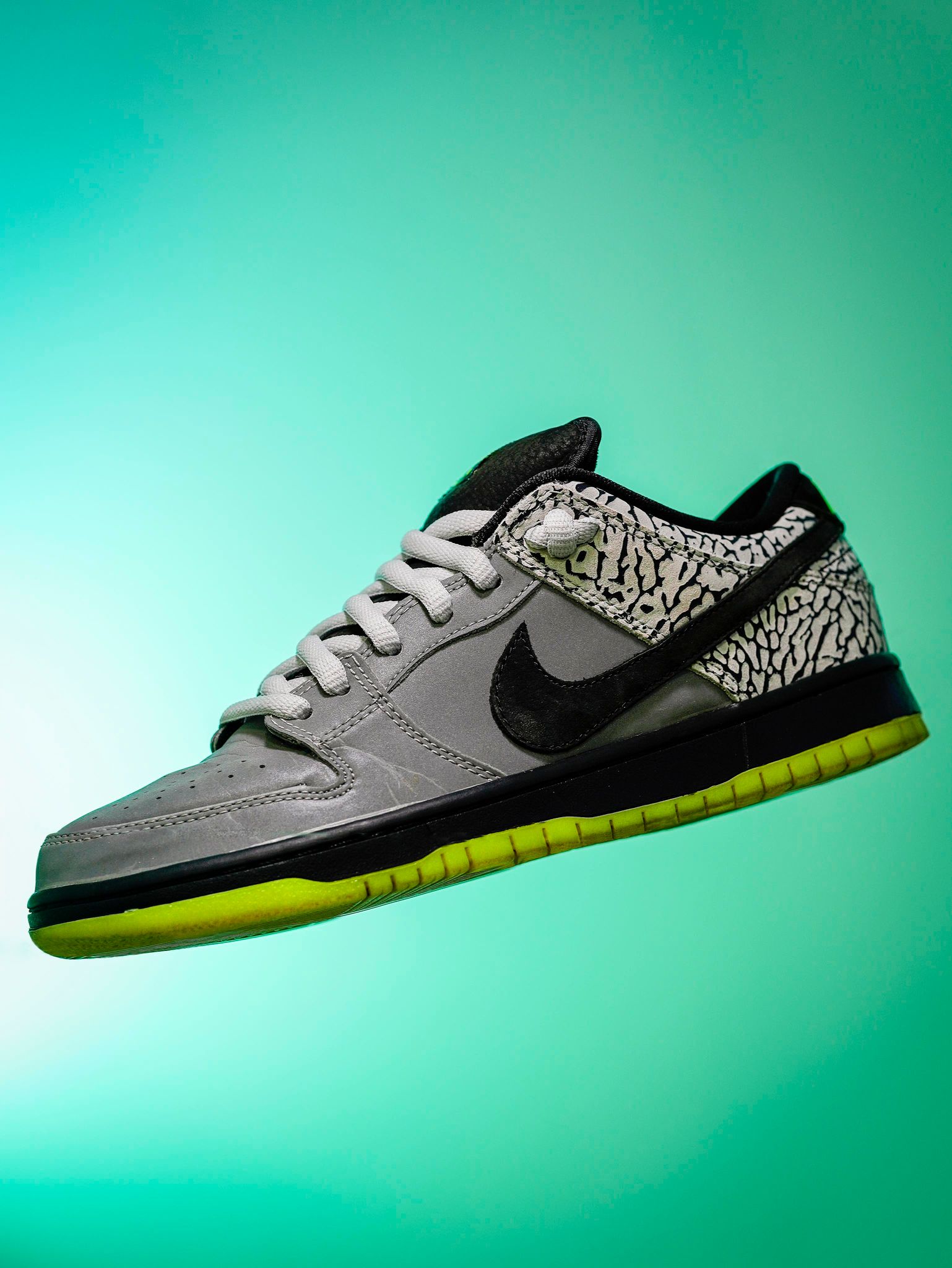 SB Dunk Thick Oval Laces - Light Grey