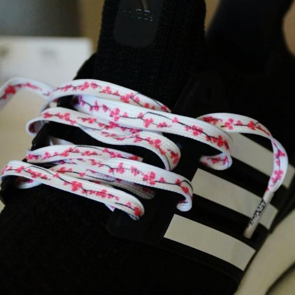 Japanese Sakura Cherry Blossom Laces - Flat Laces - LaceSpace